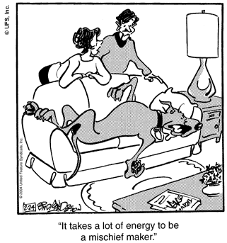 marmaduke